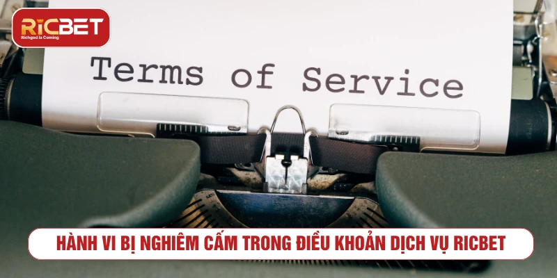 Những hành vi bị hạn chế trong điều khoản dịch vụ RICBET