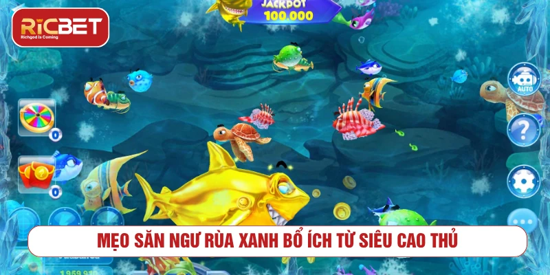 Bắn Cá Rùa Xanh RICBET - Cách Chơi Và Mẹo Quản Lý Xu Mẹo chơi bắn cá rùa xanh có kiểm soát